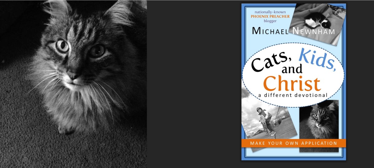 Cats, Kids, and Christ